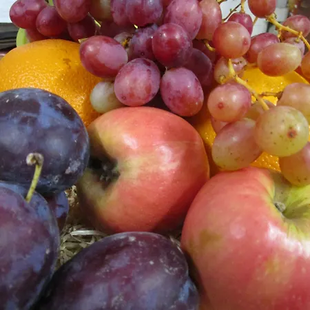 Brass Castle B&B 미들즈브러