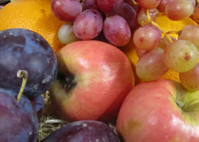 Brass Castle Bed & Breakfast Middlesbrough